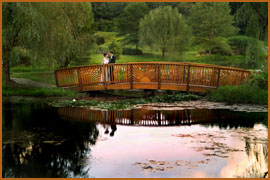 Photograph of wedding couple on beautiful bridge at sunset